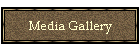 Media Gallery