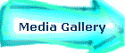 Media Gallery